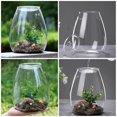 thumbnail image 2 of Glass Terrarium Container for Plants Clear Glass Material Sturdy and Fashionable for Home Office or Patio Decor 7.5 Inches, 2 of 8