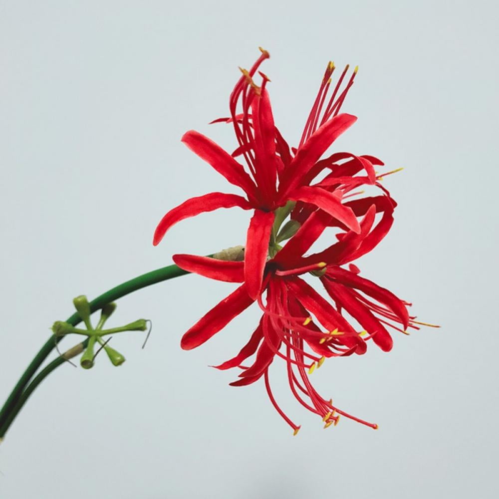 Hotaey Artificial Flowers Red Spider Lilies Silk Flowers with Long Stem ...