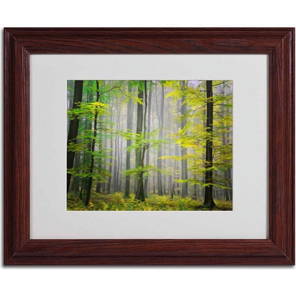 Trademark Fine Art "Sugar Low" Canvas Art by Philippe Sainte-Laudy, Wood Frame
