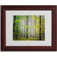 thumbnail image 2 of Trademark Fine Art "Sugar Low" Canvas Art by Philippe Sainte-Laudy, Wood Frame, 2 of 3