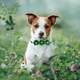 thumbnail image 4 of 10 piezas de pajaritas para perro, collar de flores para perro, accesorios de diamantes para perro, lazos de flores para mascota, collar de pajarita para gato y cachorro, suministros para, 4 of 5