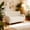 Camel, variant on Noble House Misty Nordic 58" Loveseat Accent Chair, Curved Backrest Chenille Fabric Sofa for Living Room, Olive Green