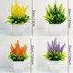thumbnail image 5 of Plantas Artificiales Decorativas con Macetas, 4 pzs, COLORES, 5 of 5