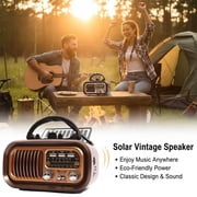 Portable Vintage Retro Bluetooth Speaker Radio, Portable Radio AM FM SW Bluetooth Speaker, Retro Radios Vintage Transistor with Best Sound - Brown