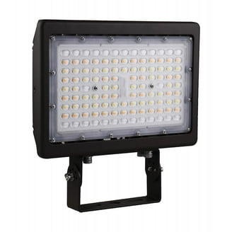 Specialty Lighting 40W Ring Mount Can Light With Frosted Switch | Black, 10ft Cord, Includes Bulbs