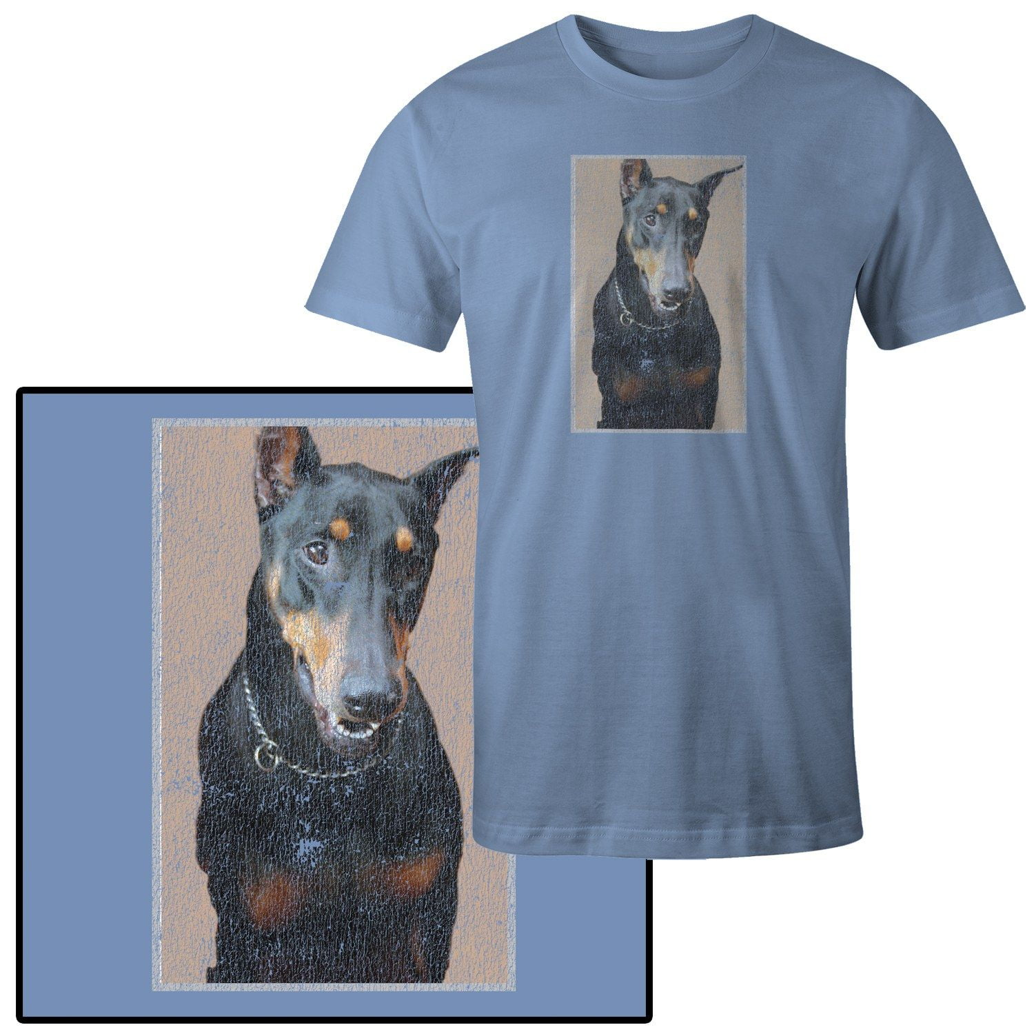doberman in a shirt