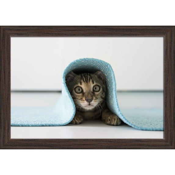 Kitten under Rug - Lantern Press Photography (18x12 Giclee Art Print, Gallery Framed, Espresso Wood)