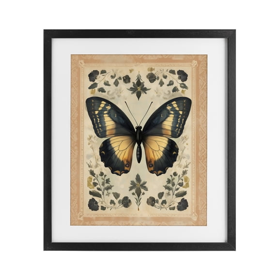 Stupell Industries Cottage Vintage Butterfly Botanical Illustration Black Framed Print Under Glass, 13 x 16, by Arlington Prints