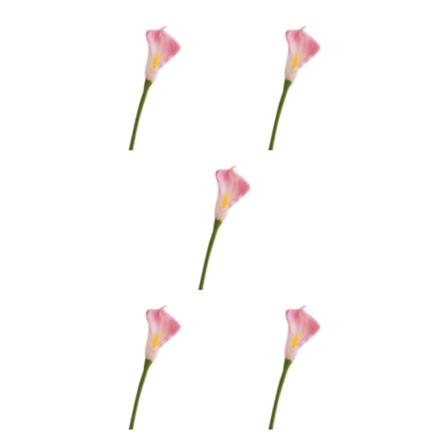 Billuyoard Ramos de alcatraces no tóxicos de apariencia realista de 20 piezas para madres y amantes Rosa Artificial Type2 NO2