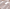 Rose Gold, variant on Wonder Nation Toddler Girl Gladiator Sandals