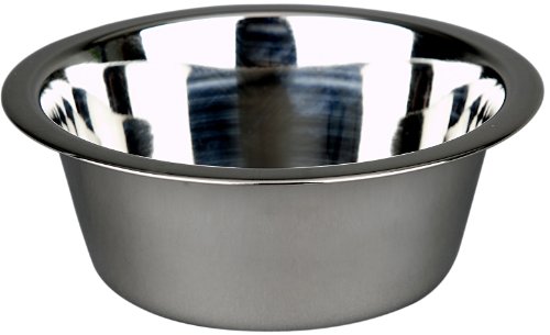 Pet Supplies : Pets Empire Stainless Steel Dog Bowl (Medium, Set of 2) 