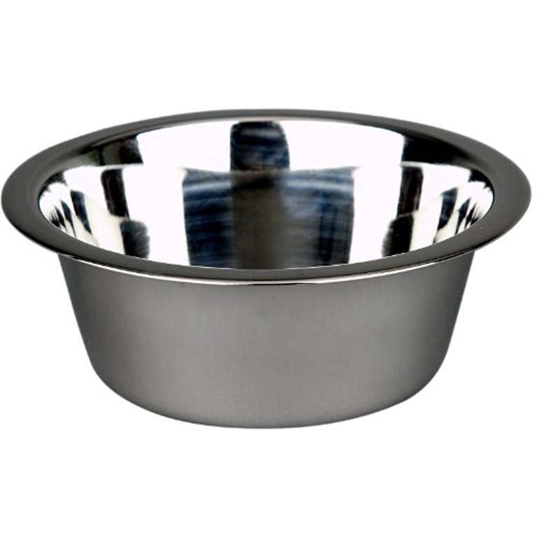 New Age Pet 25 oz Stainless Steel Dog Bowl(s) with Stand (2 Bowls) in the  Food & Water Bowls department at