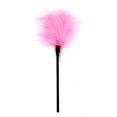 thumbnail image 1 of SM Erotic Teasing Brush Fun Supplies Tickler Multi-color Optional, 1 of 1
