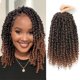 thumbnail image 1 of Passion Twist Hair 10 pulgadas, 8 paquetes de pelo de ganchillo pretorcido Passion Twist para mujeres negras, pelo de ganchillo rizado pretorcido Passion Twist, pelo corto de ganchillo Passion Twist (, 1 of 1