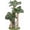 Monstera tree, variant on Cat Scratching Post,Cat Scratcher Tree with 3 Scratching Poles & 2 Interactive Dangling Balls,Cats Scratching Posts for Indoor Kitten & Adult Cats