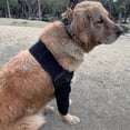 thumbnail image 3 of Breathable Dog Elbow Brace Protector Pads For Canine Elbow And Shoulder Support Elbow Hygroma, Dysplasia, Osteoarthritis, Elbow Calluses-i, 3 of 4
