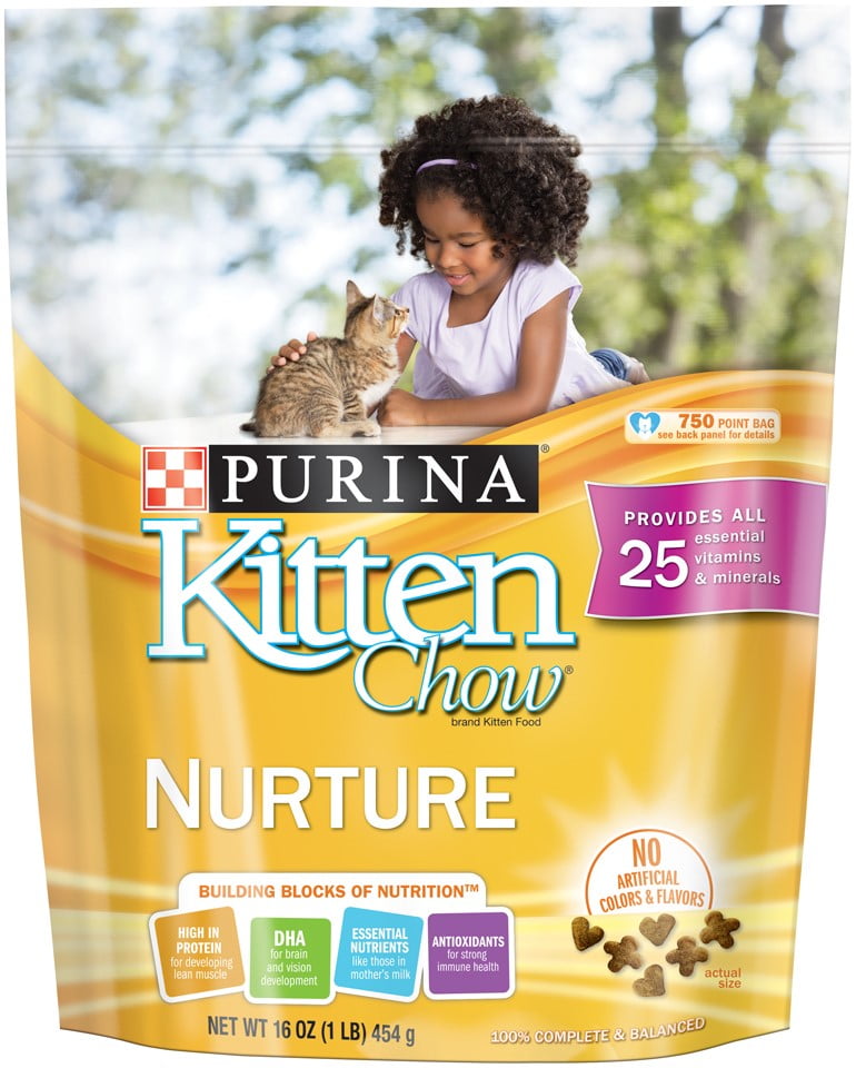 purina kitten chow nurture dry cat food