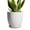 Matte White, variant on Ordivic 6 inch White Ceramic Planter with Drainage & Saucer, Round Indoor Plant Pot for Succulents & Cactus,Home Office Desk, Housewarming Gift