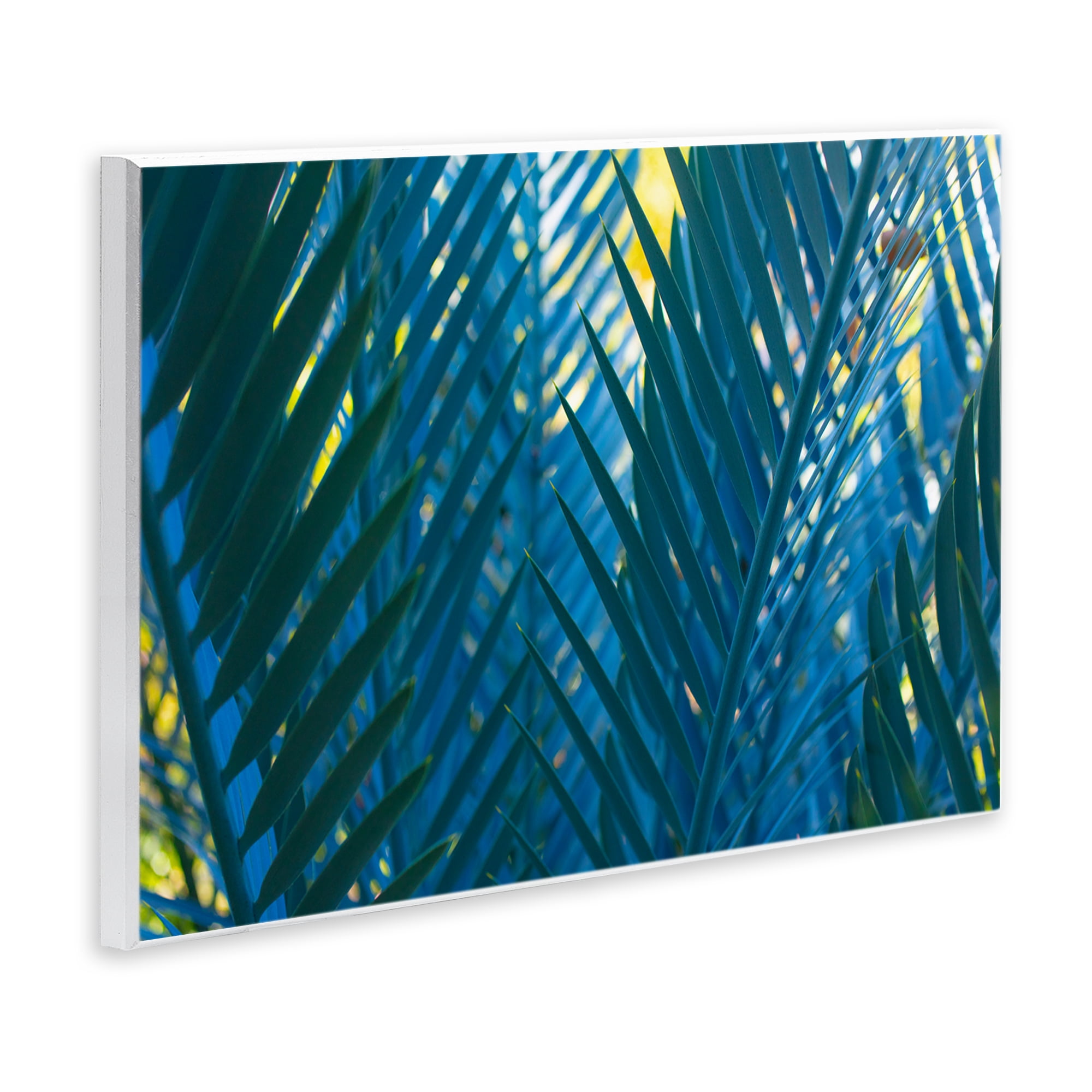 Stupell Industries Blue Palm Fronds Plants & Flowers Photography Unframed Art Print Wall Art, 19 x 13