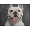 GZHJMY Dog Portrait Lightweight Carpet Mats, 5'3" x 4' Area Soft Rugs, Floor Mat Rug Home Decoration for Kids Room Living Room, 63"x 48"