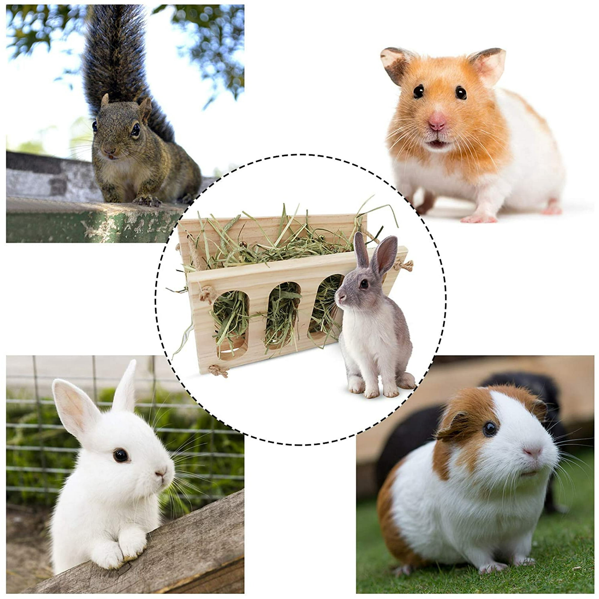 Rabbit Hay Feeder Foldable Wooden Hay Feeder Fixed Tray Guinea Pig Hay Feeder Pe