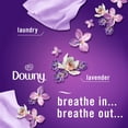 thumbnail image 4 of Febreze PLUG Scent Booster Downy Calm Starter Kit Oil Diffuser Air Freshener Plug In Device 1 kit - 5 Pack, 4 of 5