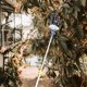 thumbnail image 4 of Phenofice 1Ud Harvester Para Ligero Para Huertos Y Jardinería Labor, 4 of 7