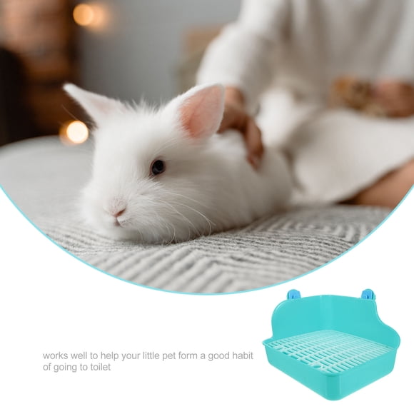 LOLIPPYY Potty Trainer Resistente Para Mascotas Pequeñas Con Control De Arena