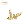 thumbnail image 3 of Uxcell 40Pack M2.5 x 8mm Brass Slotted Drive Flat Head Wood Screws Self Tapping Screw, 3 of 6