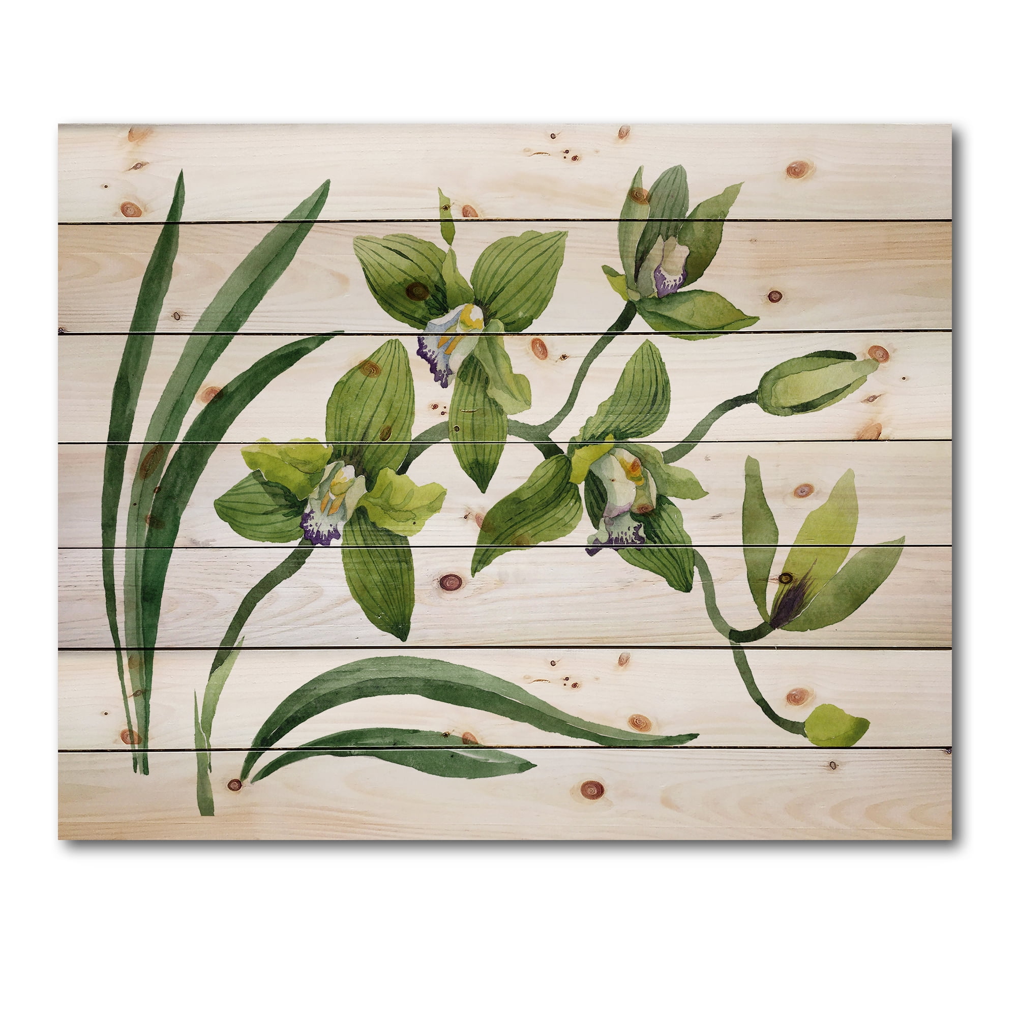 Designart 'Green Orchid Flowers On White' Traditional Print on Natural Pine Wood