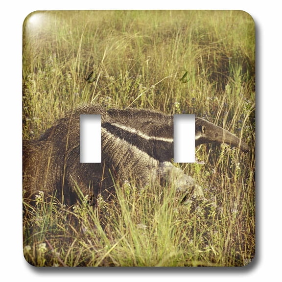 3dRose, Giand Anteater.El Pantanal, Wetlands, Matto Grosso, Brazil., double toggle switch