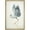 NATURAL, variant on wall26 - Framed Canvas Wall Art - Heron Bird Spread The Wings - Wild Animal - Gallery Wrap Modern Home Art | Ready to Hang - 16"x24" Black