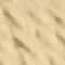 Bone