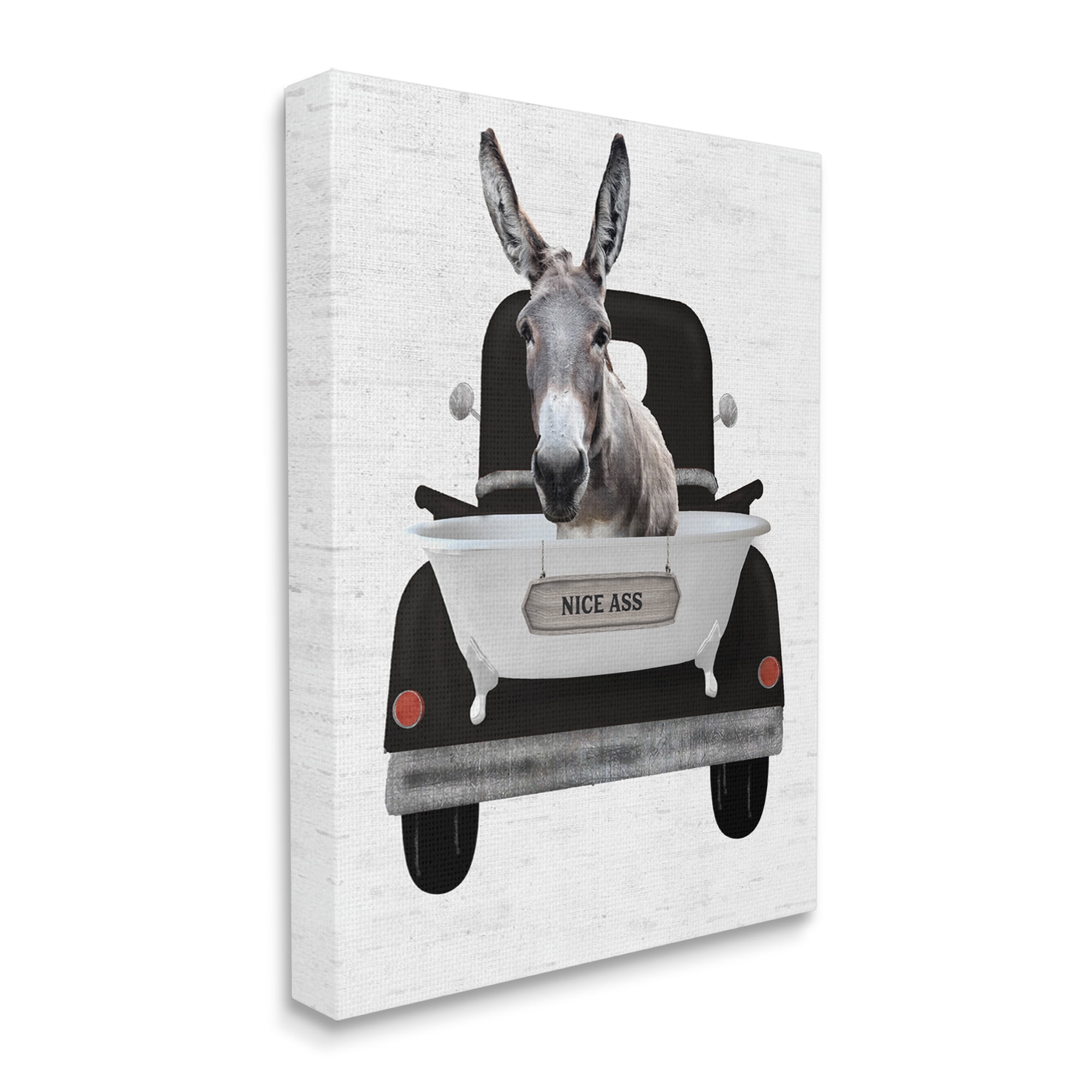 Stupell Industries Nice A** Donkey Phrase Animals & Insects Painting Gallery Wrapped Canvas Print Wall Art, 36 x 48