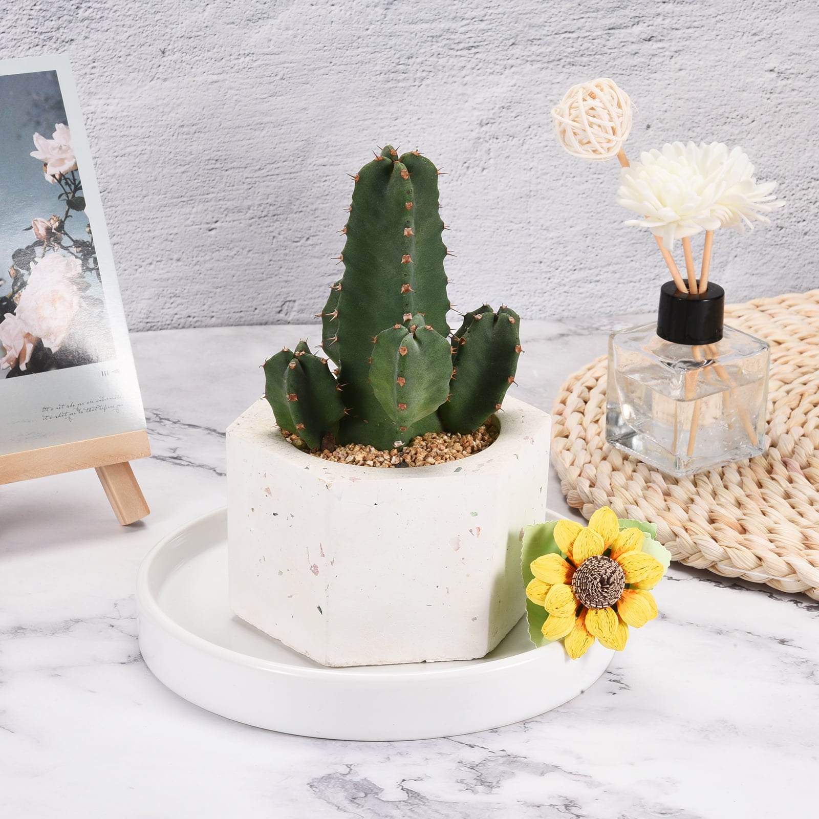 Unique Bargains Round Ceramic Plant Saucer Flower Drip Tray for Gardening White 6.5"