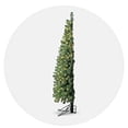 thumbnail image 4 of Home Heritage Cashmere 5 Ft Artificial Half Christmas Tree with 100 Lights, 4 of 9