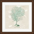 thumbnail image 1 of Gorgonia Granulata on Linen Sea Foam Sq by Wild Apple Portfolio, Framed Wall Art, 19.75W x 19.75H, 1 of 1