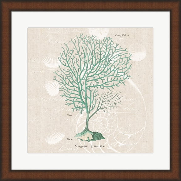 Gorgonia Granulata on Linen Sea Foam Sq by Wild Apple Portfolio, Framed Wall Art, 19.75W x 19.75H