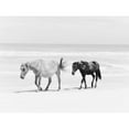 thumbnail image 2 of Curinga, Kim 14x12 Black Modern Framed Museum Art Print Titled - Beach Horse Duo, 2 of 4