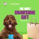 thumbnail image 3 of Juguete para Perro Gnawsome Squeaker Cube con Púas para Salud Dental, 3 of 8