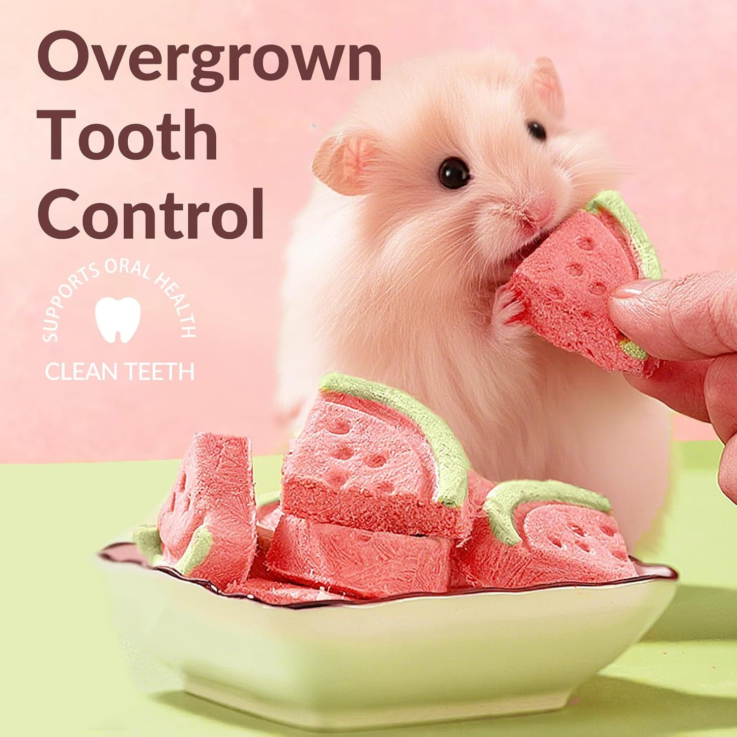 45 PCS Hamster Chew Toys, Natural Boredom Relief and Teeth Trimming Toys to Prevent Dental Overgrowth and Relieve Stress, for Syrian Dwarf Hamsters, Fancy Rats, Mice, Gerbils, Omnivorous Pocket Pets