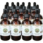 Bai Zhi, Dahurian Angelica (Angelica Dahurica) Glycerite, Dried Root Powder Alcohol-Free Liquid Extract, Bai Zhi, Glycerite Herbal Supplement 15x4 oz