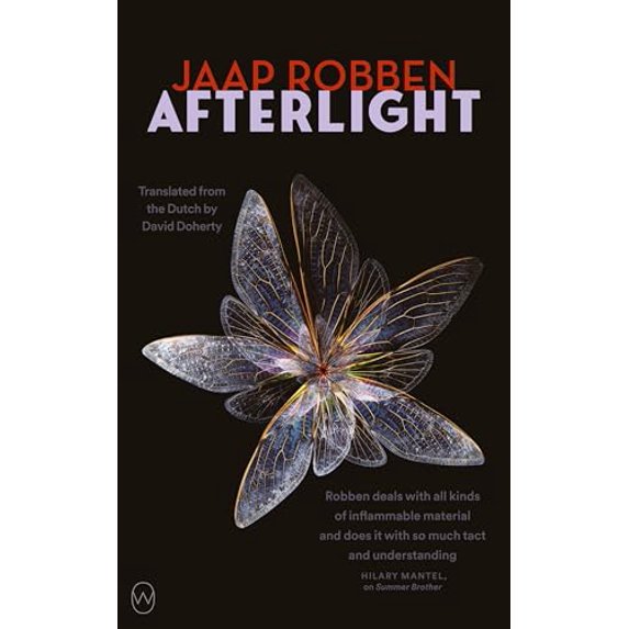 Pre-Owned Afterlight (Paperback) 1642861472 9781642861471