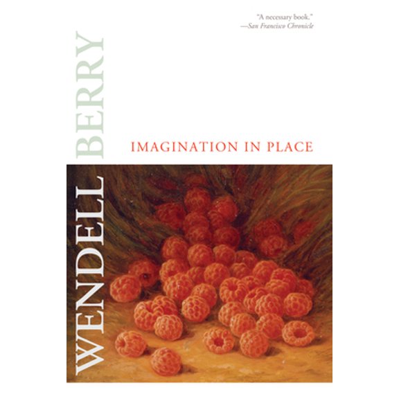 Pre-Owned Imagination in Place (Hardcover) 1582435626 9781582435626