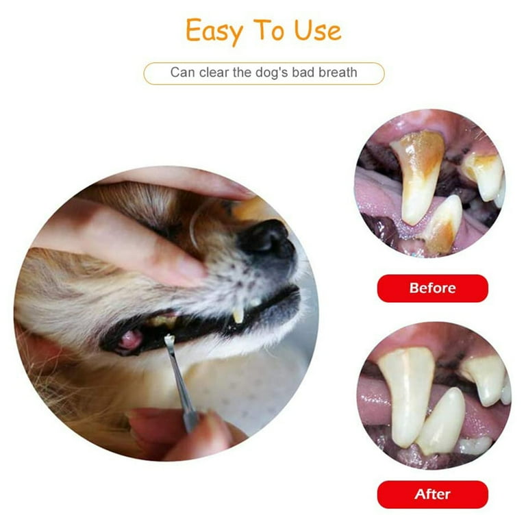 Dental cleaning tools for dogs hot sale