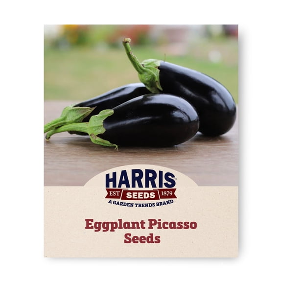 Harris Seeds Eggplant Picasso Variety, Non-GMO, Spineless Calyx, 50 Count