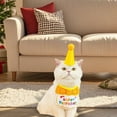 thumbnail image 5 of Pet Collars Product Category Indoor Outdoor Festive Birthday Theme Accessory for Cats and Dogs TPR Polyester, 5 of 5