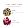 thumbnail image 5 of 100% PURE Acai Pulp Facial Scrub, Exfoliating, Organic Face Wash (2 Fl Oz), 5 of 8