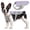 Purple, variant on MASBRILL Dog Cooling Vest Harness, Lightweight Dogs Cooler Jackets Pet Ice Vest for Outdoor Hunting Training and Camping