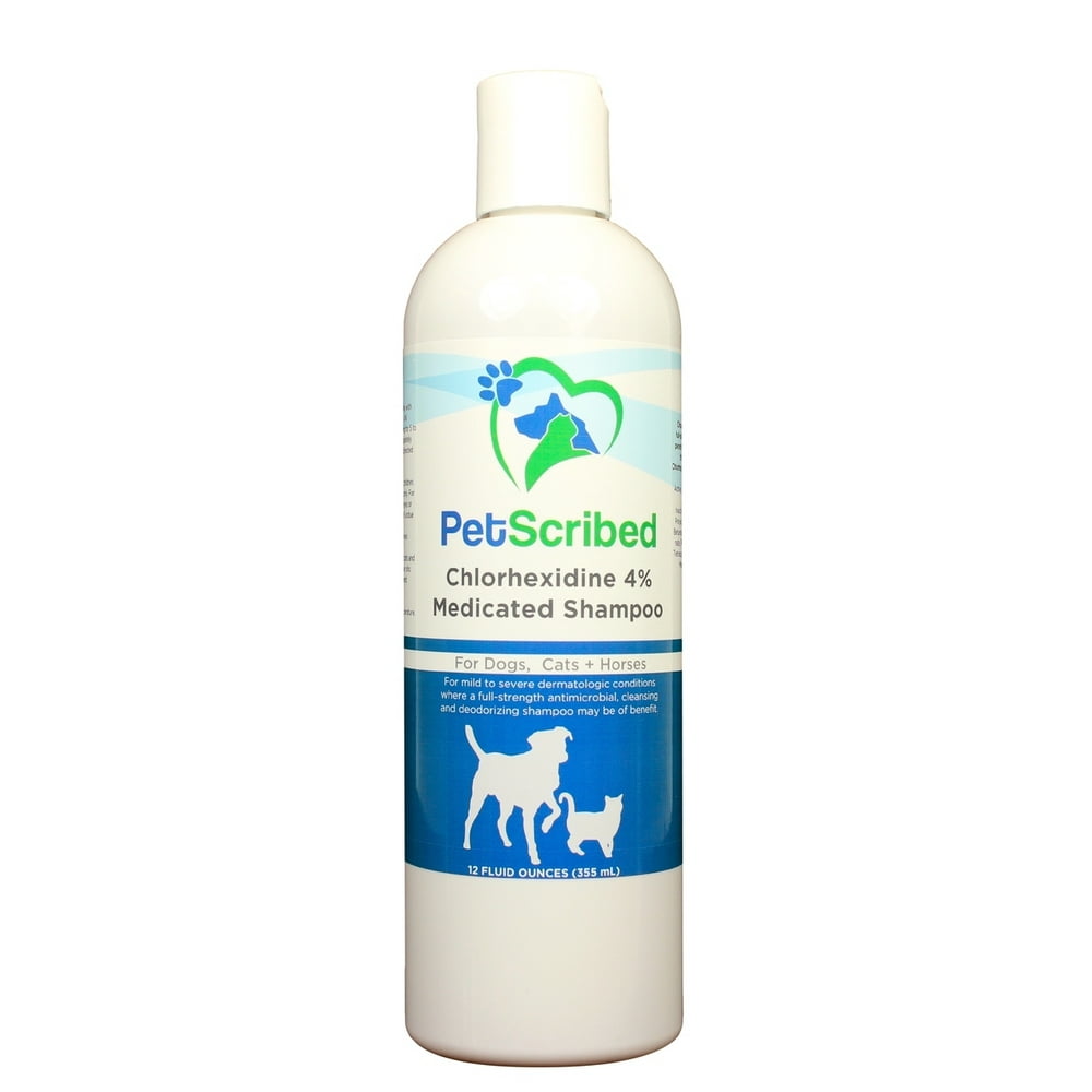 PetScribed Chlorhexidine 4 Medicated Shampoo (12 oz)